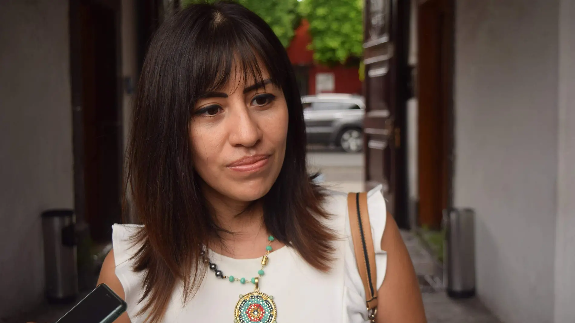 Liliana San Martín Castillo, secretaria Técnica Municipal.3